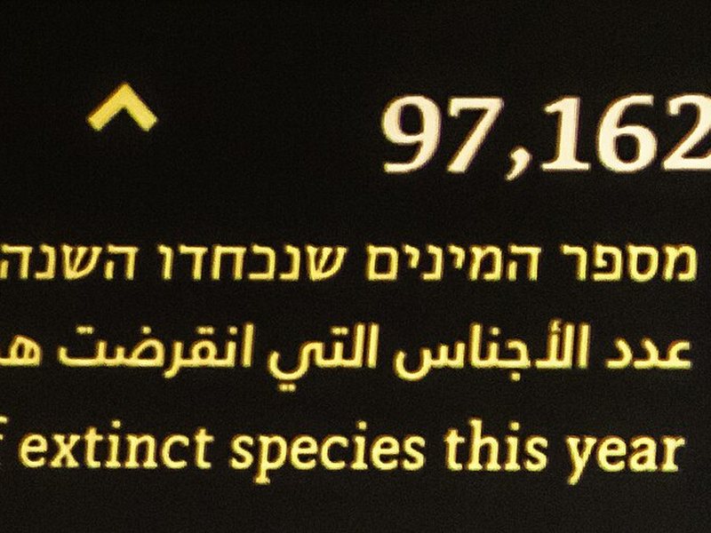 תצלום על הגירה מיומנת, שכר ואי־שוויון
