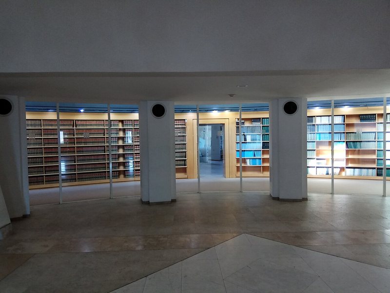 תצלום על חוקתיות, חוקי יסוד והמבנה הדמוקרטי בישראל