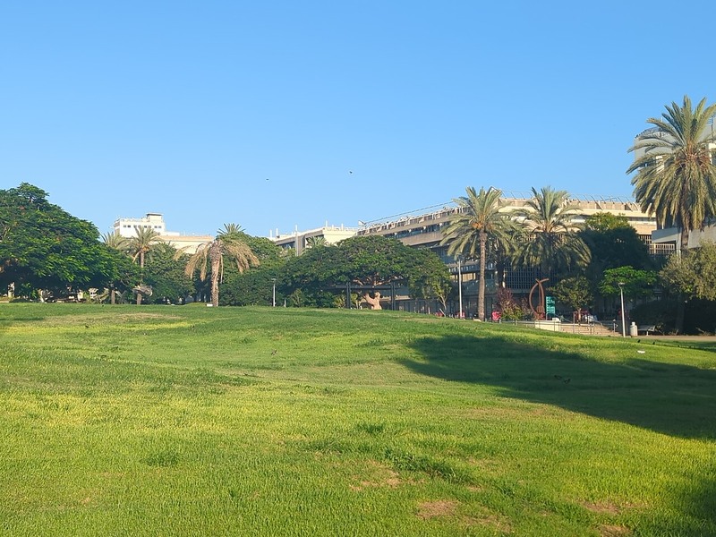 מדשאה ובניינים בקמפוס אוניברסיטת תל אביב