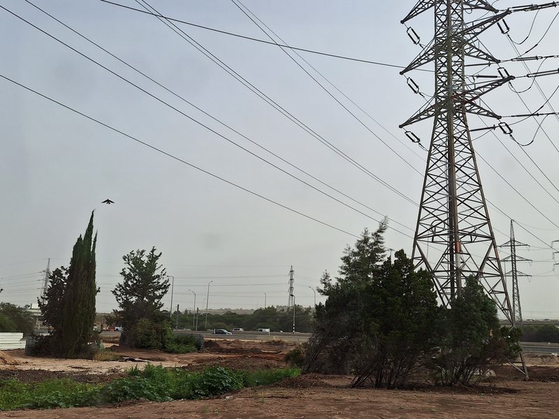 רשת עמודים וקווי מתח גבוה לצד כביש באזור מיושב בישראל