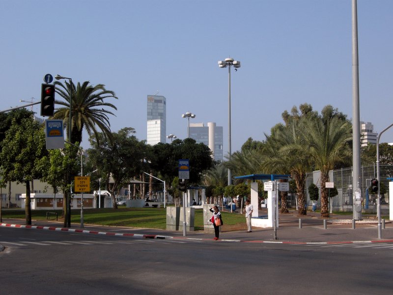 פארק לבינסקי ליד התחנה המרכזית בתל אביב, ובו מדשאה, דקלים, תחנת אוטובוס והולכי רגל